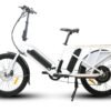 EUNORAU MAX-CARGO 48V/11.6Ah 750W Dual Battery Electric Cargo Bike