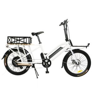 eunorau-max-cargo-cargo-750w-48v-cargo-electric-bike-2