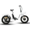 EUNORAU NEW-TRIKE 500W 48V Step Through Fat Tire Folding Electric Tricycle