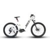 Eunorau Specter ST 48V 1000W Step Thru Torque-Sensing Electric Mountain Bike