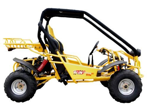 Explorer 150cc Buggy Go Kart, Electric Start, Automatic with Reverse, Ages 16 and up - Black