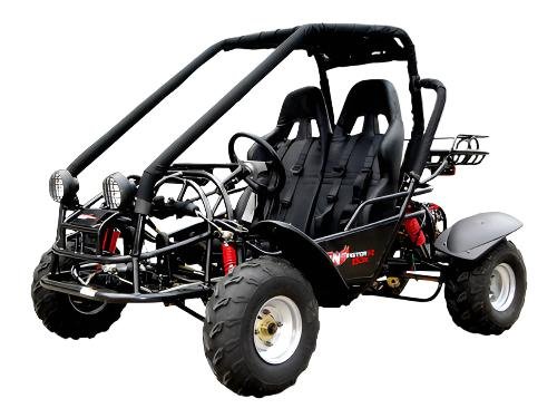 Explorer 150cc Buggy Go Kart, Electric Start, Automatic with Reverse, Ages 16 and up - Black
