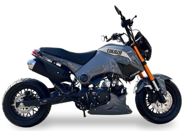 Fuerza 125cc Motorcycle, 4-Speed Manual, Dual Disc Brakes, 12 inch Aluminum Wheels, 50 State Legal - Metallic Blue