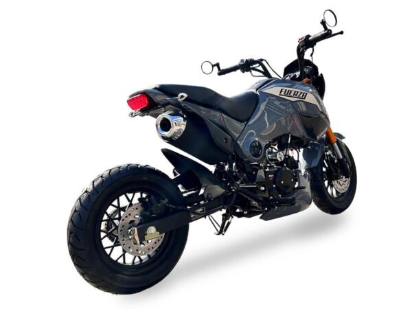 Fuerza 125cc Motorcycle, 4-Speed Manual, Dual Disc Brakes, 12 inch Aluminum Wheels, 50 State Legal - Metallic Blue