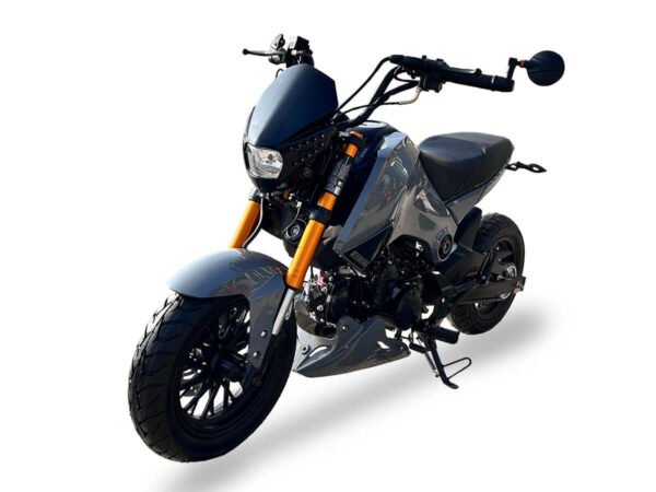 Fuerza 125cc Motorcycle, 4-Speed Manual, Dual Disc Brakes, 12 inch Aluminum Wheels, 50 State Legal - Metallic Blue