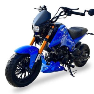 fuerza-125cc-motorcycle-4-speed-manual-dual-disc-brakes-12-inch-aluminum-wheels-50-state-legal-metallic-blue