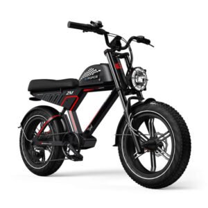 g-force-zm-750w-48v-20ah-all-terrain-full-suspension-fat-tire-electric-bike