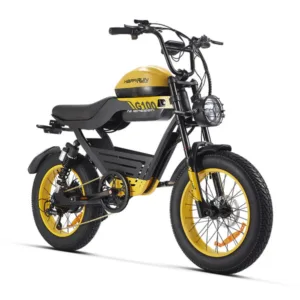 happyrun-g100-48v-38ah-2000w-dual-battery-electric-bike