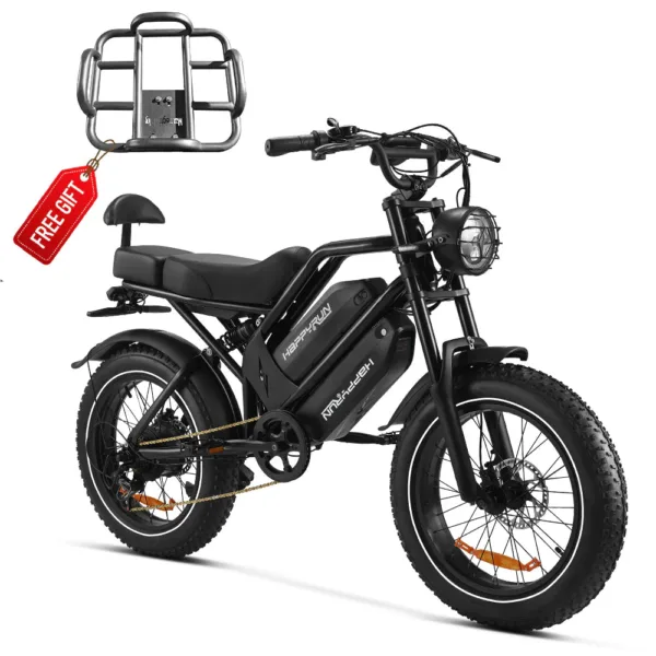 HappyRun G70 48V/38Ah 2000W Electric Cargo Bike