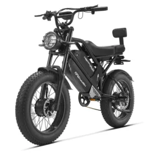 happyrun-g70-pro-48v-33ah-5000w-electric-cargo-bike