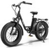 Hiboy EX6 48V/15Ah 500W Fat Tire Electric Bike