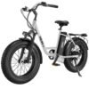Hiboy EX6 48V/15Ah 500W Fat Tire Electric Bike