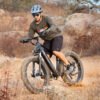 Hiboy P6 48V/11.6Ah 750W Fat Tire Electric Bike