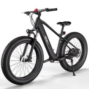 hiboy-p6-48v-11-6ah-750w-fat-tire-electric-bike