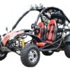 Jaguar 200 DLX Buggy Go Kart, Electric Start, Automatic with Reverse, 10-inch Alloy Wheels, Ages 16 and up - Red