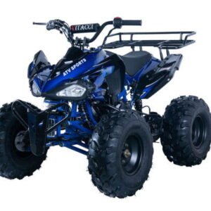 jet9-125cc-sport-atv-automatic-with-reverse-8-inch-wheels-rear-rack-front-bumper-ages-12-and-up-blue