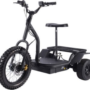 mototec-electric-trike-48v-24ah-1200w