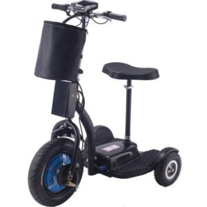 mototec-electric-trike-48v-750w-lithium