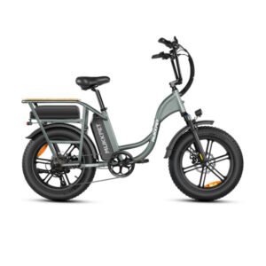 mukkpet-breeze-750w-48v-dual-battery-step-thru-cargo-utility-electric-bike-2