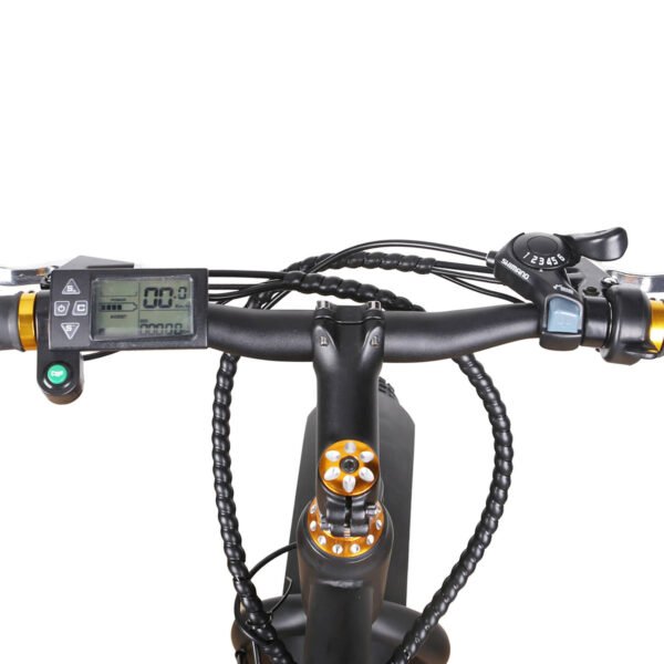 NAKTO Cruiser 36V/10Ah 300W Fat Tire Electric Bike