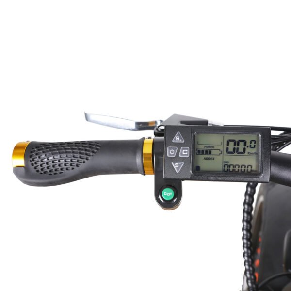 NAKTO Cruiser 36V/10Ah 300W Fat Tire Electric Bike