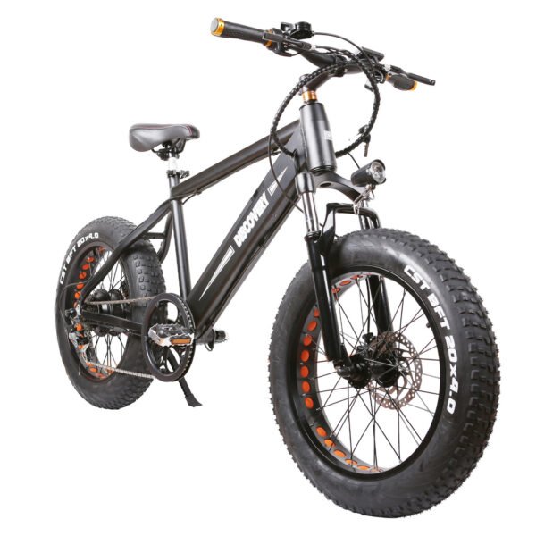 NAKTO Discovery 48V/10Ah 350W Fat Tire Electric Bike