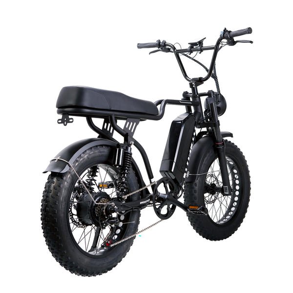 NAKTO F2 48V/16Ah 500W/750W Fat Tire Electric Bike
