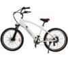 NAKTO Santa Monica 48V/10Ah 750W Fat Tire Electric Bike