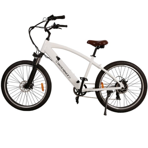 NAKTO Santa Monica 48V/10Ah 750W Fat Tire Electric Bike