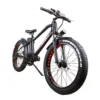 NAKTO Super Cruiser 48V/12Ah 750W Electric Bike