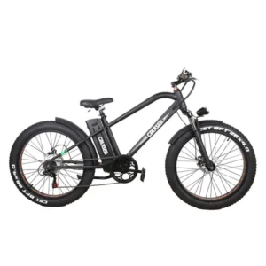 nakto-super-cruiser-48v-12ah-750w-electric-bike
