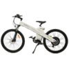 On Sale! Ecotric Seagull 48V 1000W Electric Mountain Bike