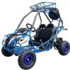 PGO 200GVA Kids Gas Go Kart, 6.5hp 196cc engine with Electric Start, Automatic Torque Converter with Reverse, Kids Ages 7-12 - Blue