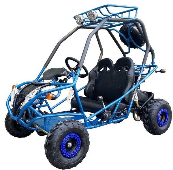 PGO 200GVA Kids Gas Go Kart, 6.5hp 196cc engine with Electric Start, Automatic Torque Converter with Reverse, Kids Ages 7-12 - Blue