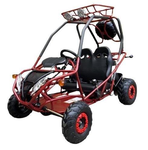 PGO 200GVA Kids Gas Go Kart, 6.5hp 196cc engine with Electric Start, Automatic Torque Converter with Reverse, Kids Ages 7-12 - Blue