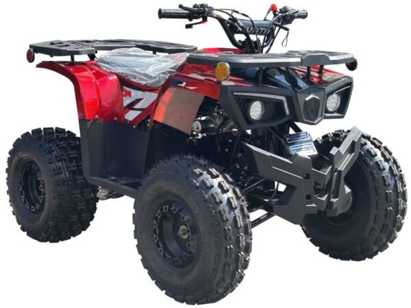 Phantom 125cc Kids ATV, 8-inch Wheels, Automatic with Reverse, Ages 12 and up - Black