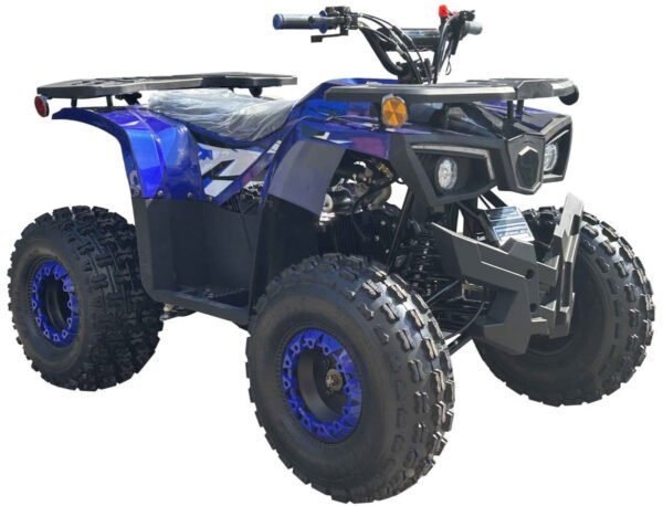 Phantom 125cc Kids ATV, 8-inch Wheels, Automatic with Reverse, Ages 12 and up - Black