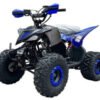 Pioneer 110cc Sport ATV, Automatic with Reverse, 8-inch Wheels, Electric Start, Ages 12 and up - Blue