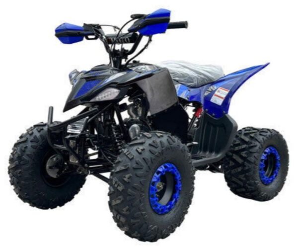 Pioneer 125cc Sport ATV, Automatic with Reverse, 8 inch Wheels, Electric Start, Ages 12 and up - Blue
