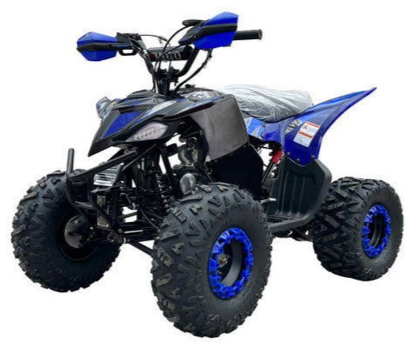 Pioneer 125cc Sport ATV, Automatic with Reverse, 8 inch Wheels, Electric Start, Ages 12 and up - Blue