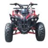 Pro Max 125cc Sport ATV, Automatic with Reverse, 8 inch Wheels, Electric Start, Ages 12 and up - Red