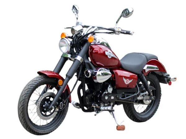 Raider 250 Street Motorcycle, 5-Speed Manual - Green