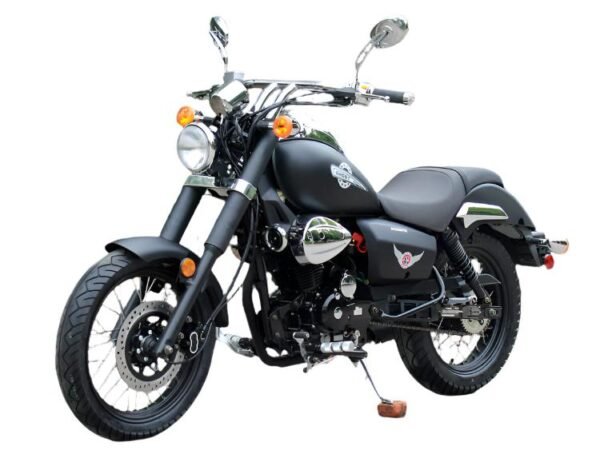 Raider 250 Street Motorcycle, 5-Speed Manual - Green
