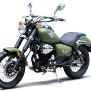 raider-250-street-motorcycle-5-speed-manual-green