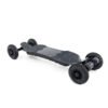 Raldey Wasp Electric Mountainboard