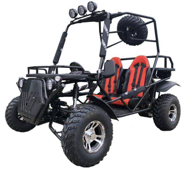 Rancher 200DLX Buggy Go Kart, Electric Start, Automatic with Reverse, 10-inch Deluxe Alloy Wheels, Ages 16 and up - Black