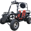 Rancher 200DLX Buggy Go Kart, Electric Start, Automatic with Reverse, 10-inch Deluxe Alloy Wheels, Ages 16 and up - Black