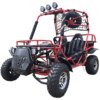Rancher 200DLX Buggy Go Kart, Electric Start, Automatic with Reverse, 10-inch Deluxe Alloy Wheels, Ages 16 and up - Black