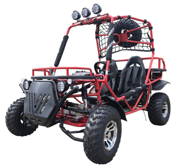 Rancher 200DLX Buggy Go Kart, Electric Start, Automatic with Reverse, 10-inch Deluxe Alloy Wheels, Ages 16 and up - Black