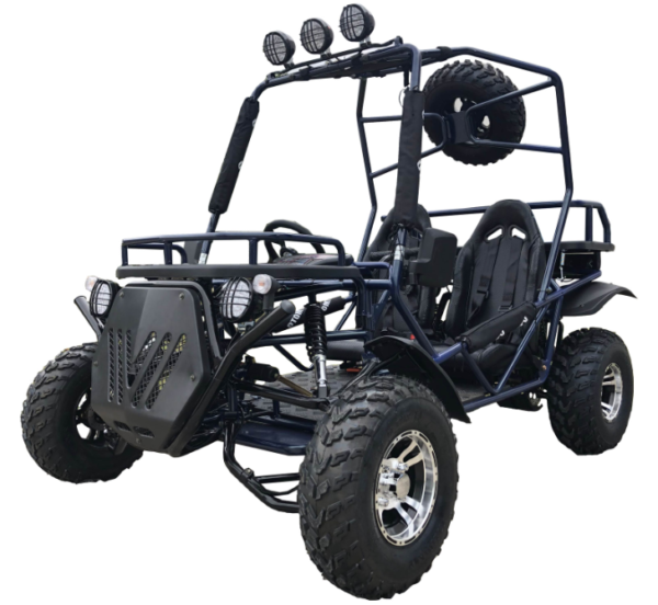 Rancher 200DLX Buggy Go Kart, Electric Start, Automatic with Reverse, 10-inch Deluxe Alloy Wheels, Ages 16 and up - Black